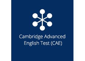 Advanced English (CAE)